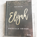 my current Bible study: priscilla shirer’s “elijah: faith & fire”